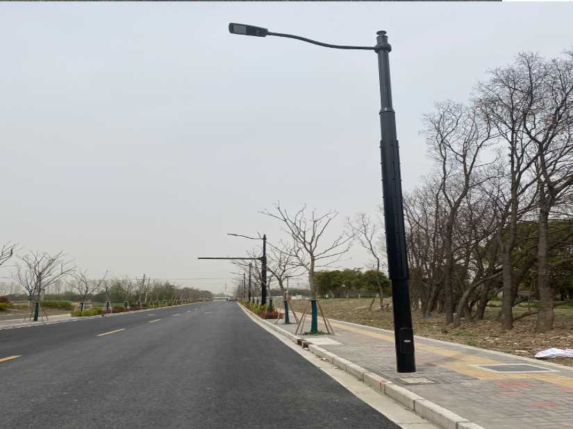 麻阳苗族自治县上海综合杆 太阳能路灯工程